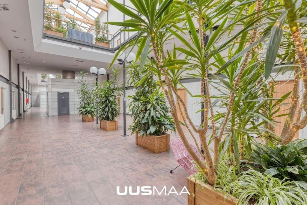 شقة Charming Loft Near Old Town تالين المظهر الخارجي الصورة